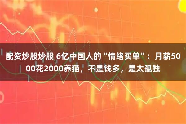 配资炒股炒股 6亿中国人的“情绪买单”：月薪5000花2000养猫，不是钱多，是太孤独